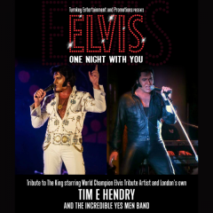 Elvis - One Night With You