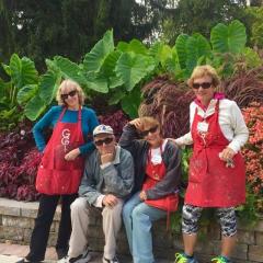SHADY Artists' Show Opening Reception