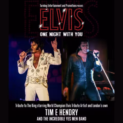 Elvis - One Night With You