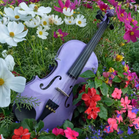 El Sistema Aeolian... Online Spring Concert 2021